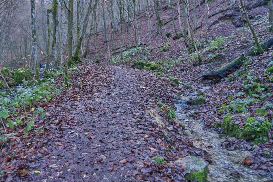 außerhalb des ausgeschilderten Radweges