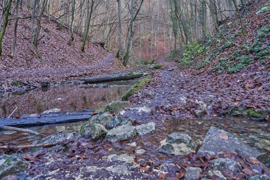 außerhalb des ausgeschilderten Radweges
