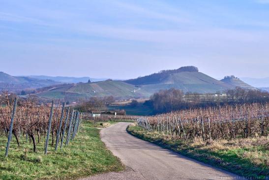 Blick zum Schemelsberg, im Hintergrund Burg Weinsberg