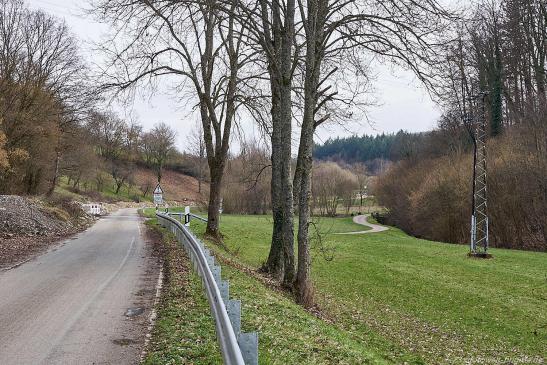 auf der rechten Seite der Radweg der in die Landesstraße mündet