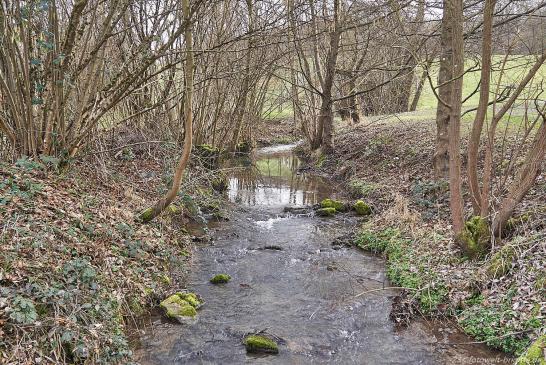 Wollenbach