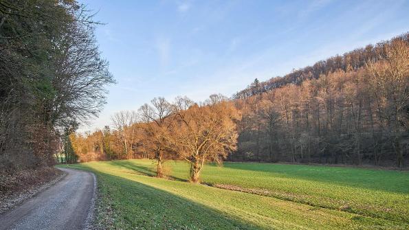 Radweg Richtung Obrigheim