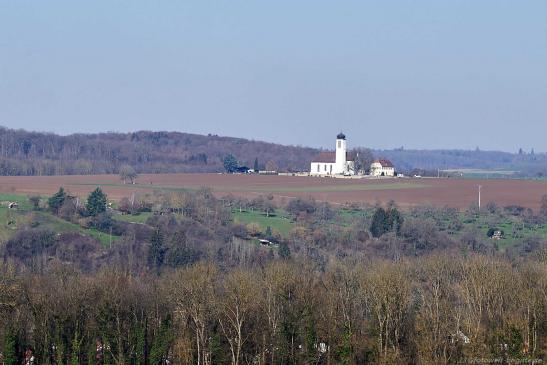 Blick oberhalb Untergriesheim auf die Wallfahrtkirche