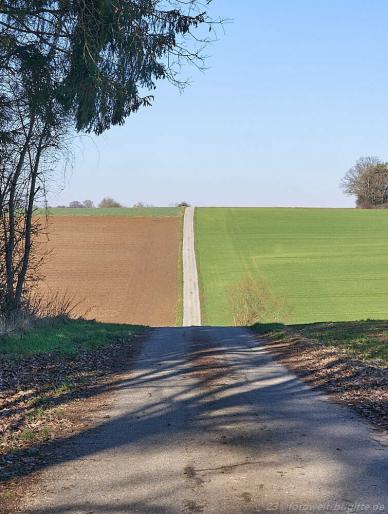 auf und ab immer wieder