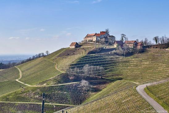 Blick zum Schloss Staufenberg