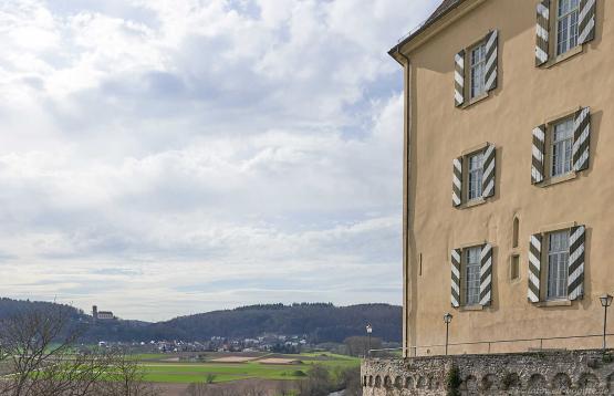 Blick zur Burg Guttenberg