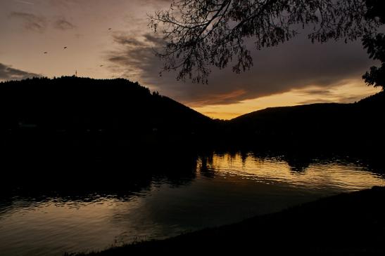 Blick auf Neckar 2