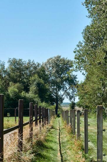 Weg von Tiefenbach zu einer Aussichtplattform am Rand des Federsees