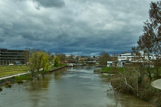 alter Neckar - Frühjahr 2020