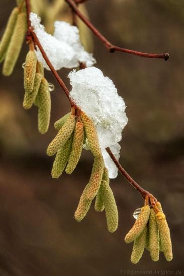 Erster Schnee in 2021