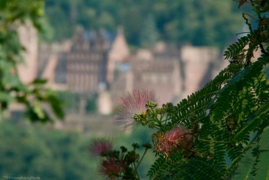 Schloss im Hintergrund