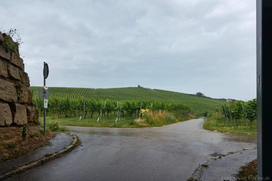 Da oben wollen wir hin