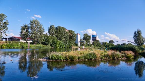 alter Neckar - Sommer