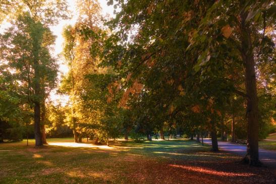 Pfühlpark mit den Fotoladies