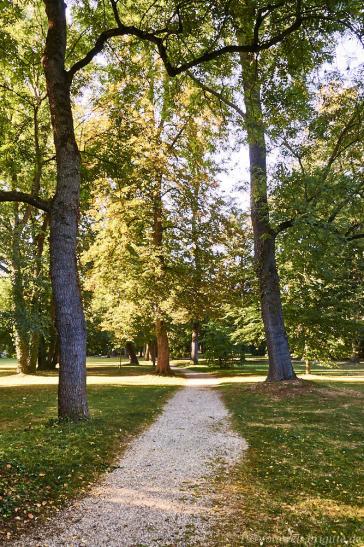 Pfühlpark
