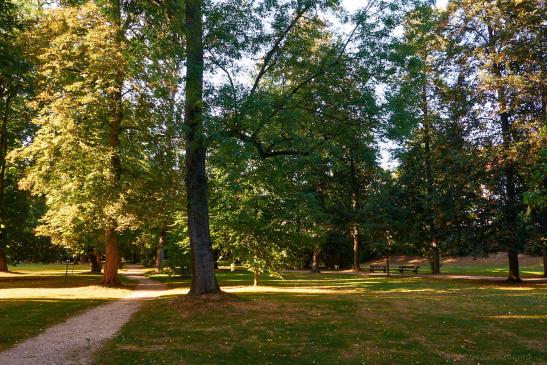 Pfühlpark