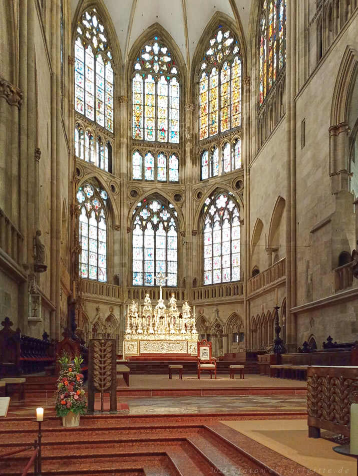 Dom St. Peter
