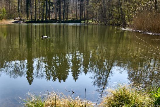 Köpferstausee