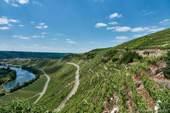 Blick von der Käsbergkanzel Richtung Besigheim