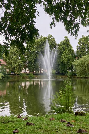 Stadtgarten mit Feuersee