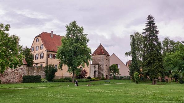 Stadtgarten 