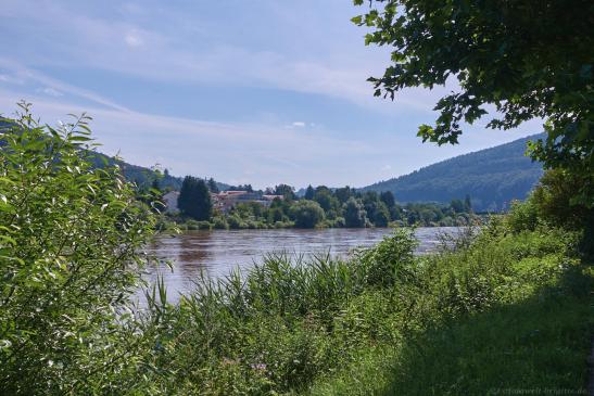 am Radweg entlang schöne Sicht auf den Neckar