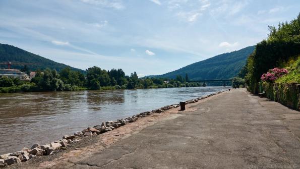 kurz nach der Elsenzmündung in den Neckar