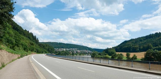 Blick auf Neckargerach