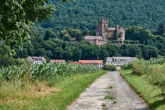 Blick auf Mittelburg