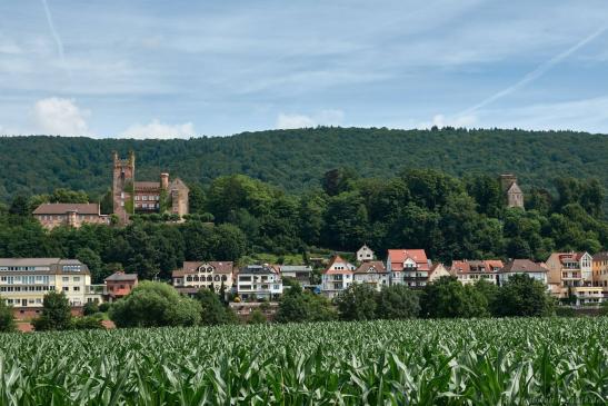 Mittelburg, Vorderburg