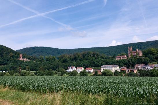 Hinterburg, Mittelburg