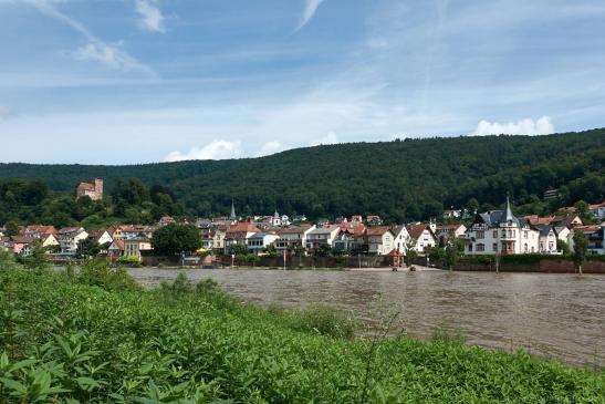 Blick auf den Neckarlauer mit Vorderburg
