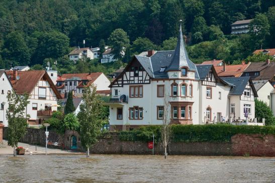 Der Neckar hat bereits sein Bett verlassen