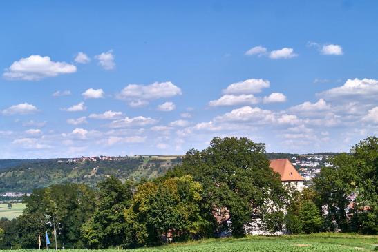 Blick auf's Schloss, im Hintergrund re. Schreckhof und li. Diedesheim