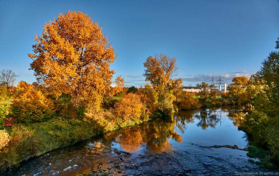 am alten Neckar bei Untereisesheim