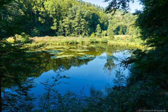 Blick von der Hofmeistersteige