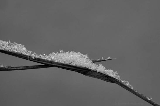 ISO 400 1/30 F13