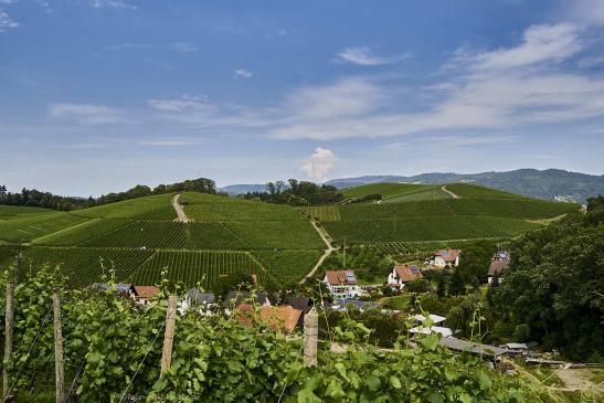 Blick auf Herztal