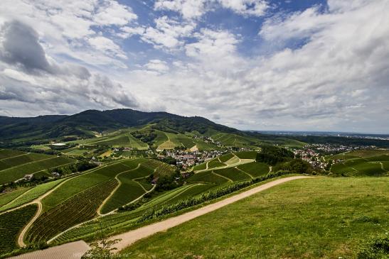 Blick vom Schloss 1
