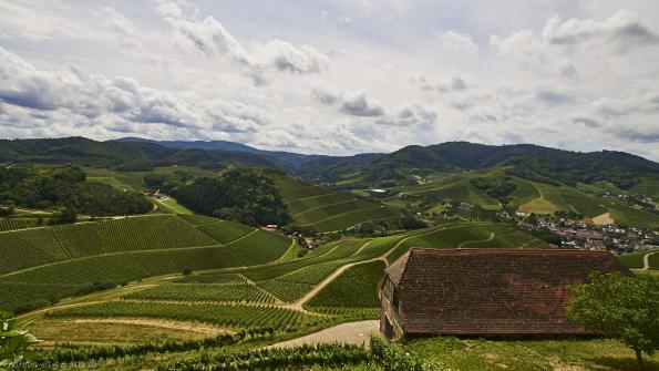 Blick vom Schloss aus