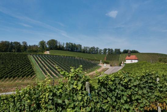 Blick zur Brandstetter Kapelle