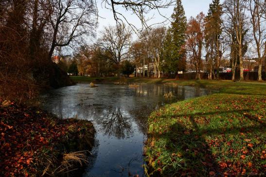 Prinzenpark mit teilweise gefrorener Wasserfläche