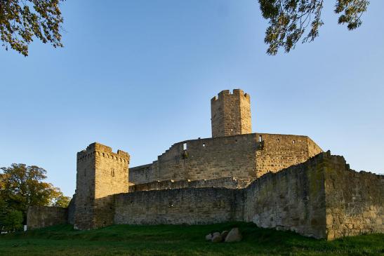 Steinsberg, Burg 