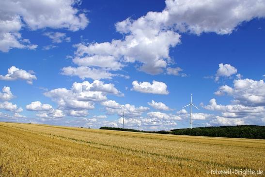 Sommer im Hunsrück