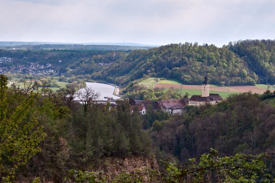 Burg Ehrenberg im Hintergrund und vorne Schloß Gundelsheim