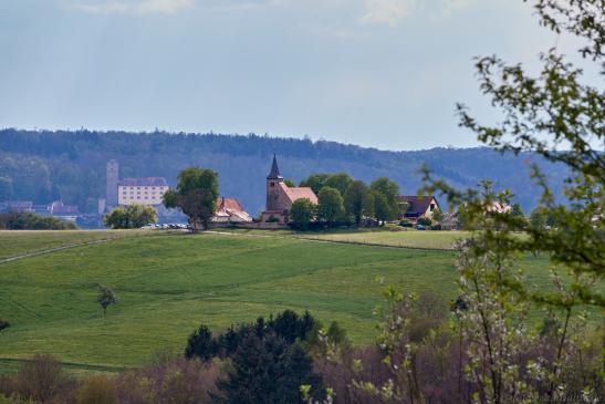 Michaelsberg, im Hintergrund Burg Guttenberg