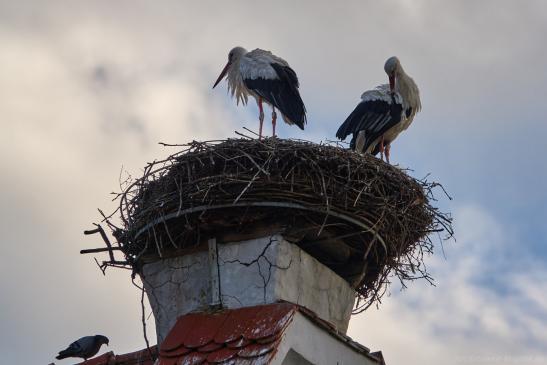 am nächsten Tag von der Strasse aus