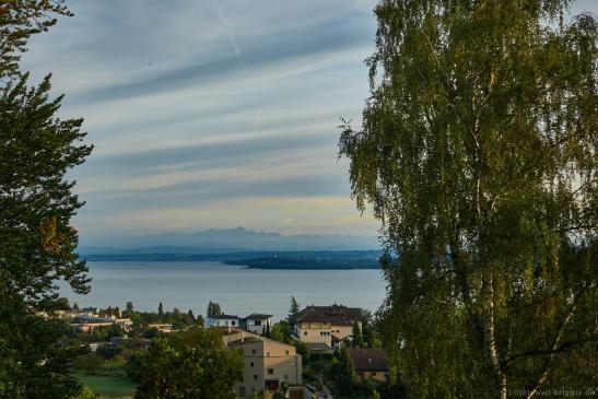 Abendblick vom Hotel auf den Bodensee