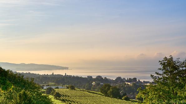 Blick morgens auf Bodensee