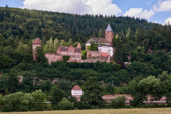 Schloß Zwingenberg